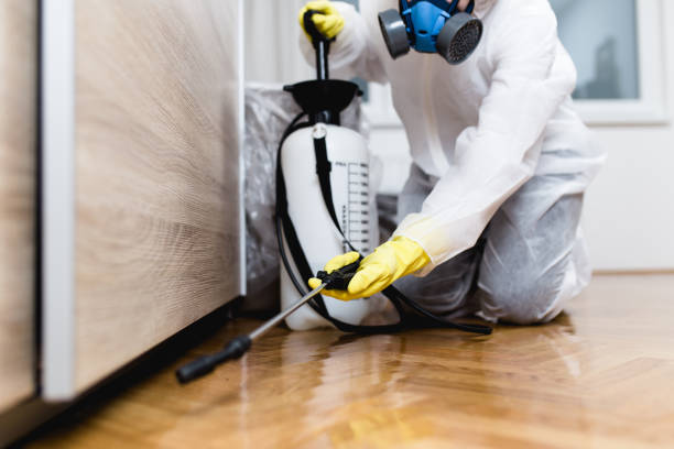 Best Mosquito Control Services  in Sellersburg, IN