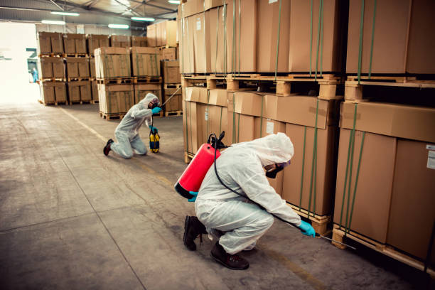 Best Cockroach Control Services  in Sellersburg, IN