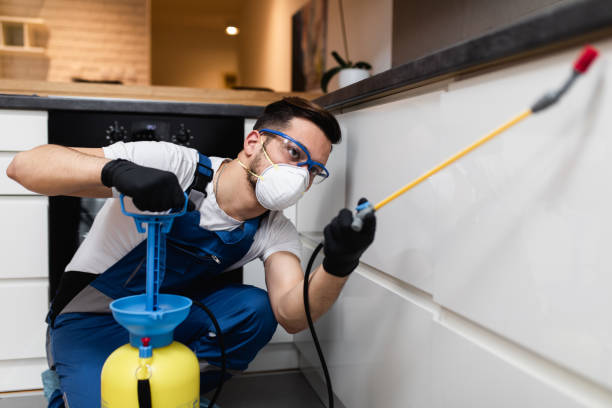 Best Local Pest Control Services  in Sellersburg, IN