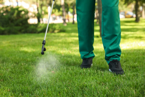 Best Best Pest Control Companies  in Sellersburg, IN