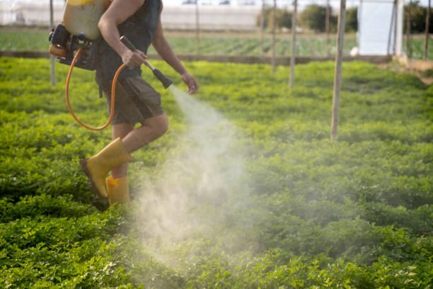 Best Local Pest Control Services  in Sellersburg, IN