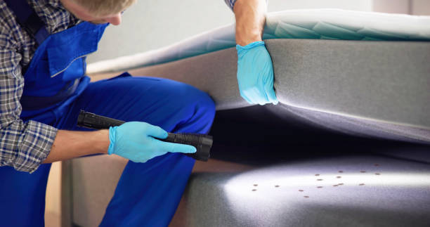 Best Termite Control Services  in Sellersburg, IN