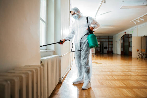 Best Flea Control Services  in Sellersburg, IN