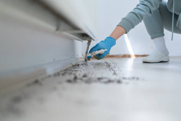 Best Mosquito Control Services  in Sellersburg, IN
