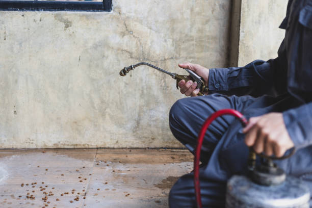 Best Pest Control Treatment  in Sellersburg, IN