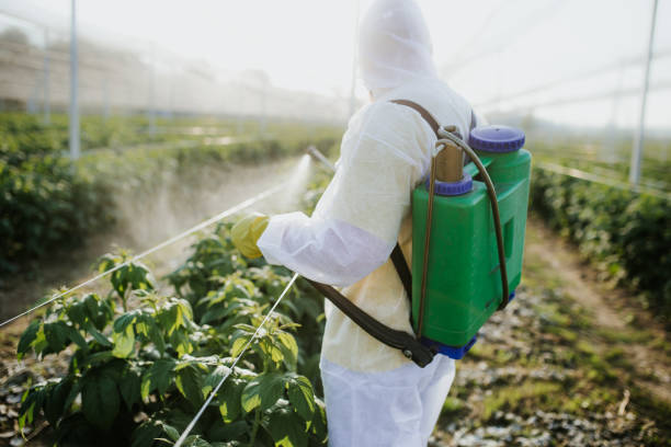 Best Exterminator Services  in Sellersburg, IN